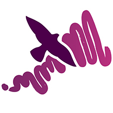 New Diocese of Truro