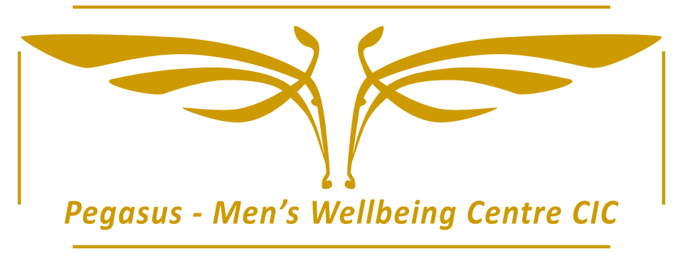 Pegasus mens wellbeing